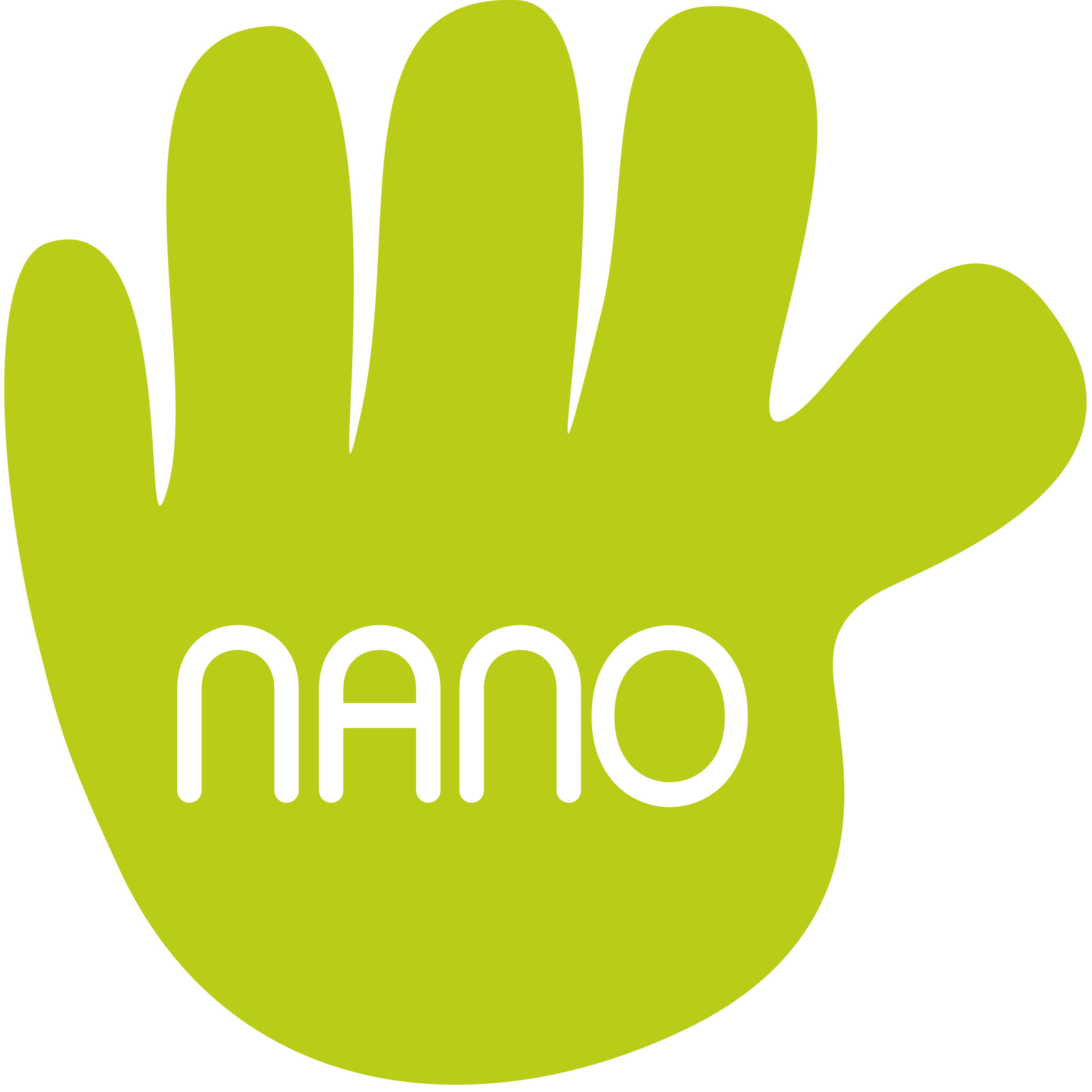 nanovista-2